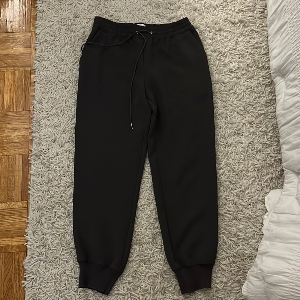 Aritzia jogger style pants